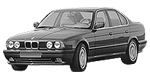 BMW E34 P0446 Fault Code